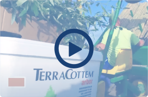 Zastosowanie TerraCottem do użyźniania gleby w maszynowym sadzeniu sadzonek drzewek